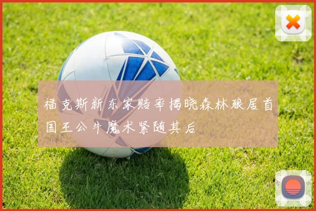 福克斯新东家赔率揭晓森林狼居首国王公牛魔术紧随其后